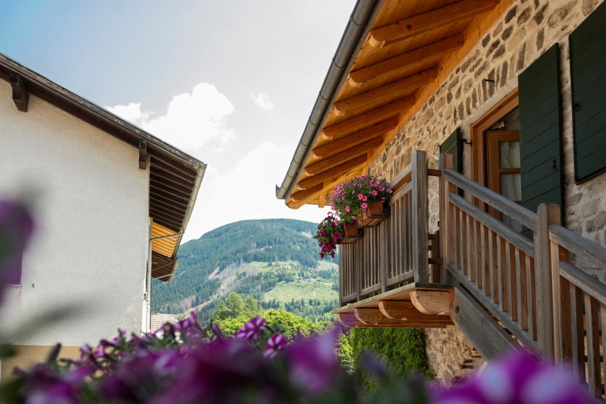 B&B Le Molinare Home Relax Varda Exterior foto